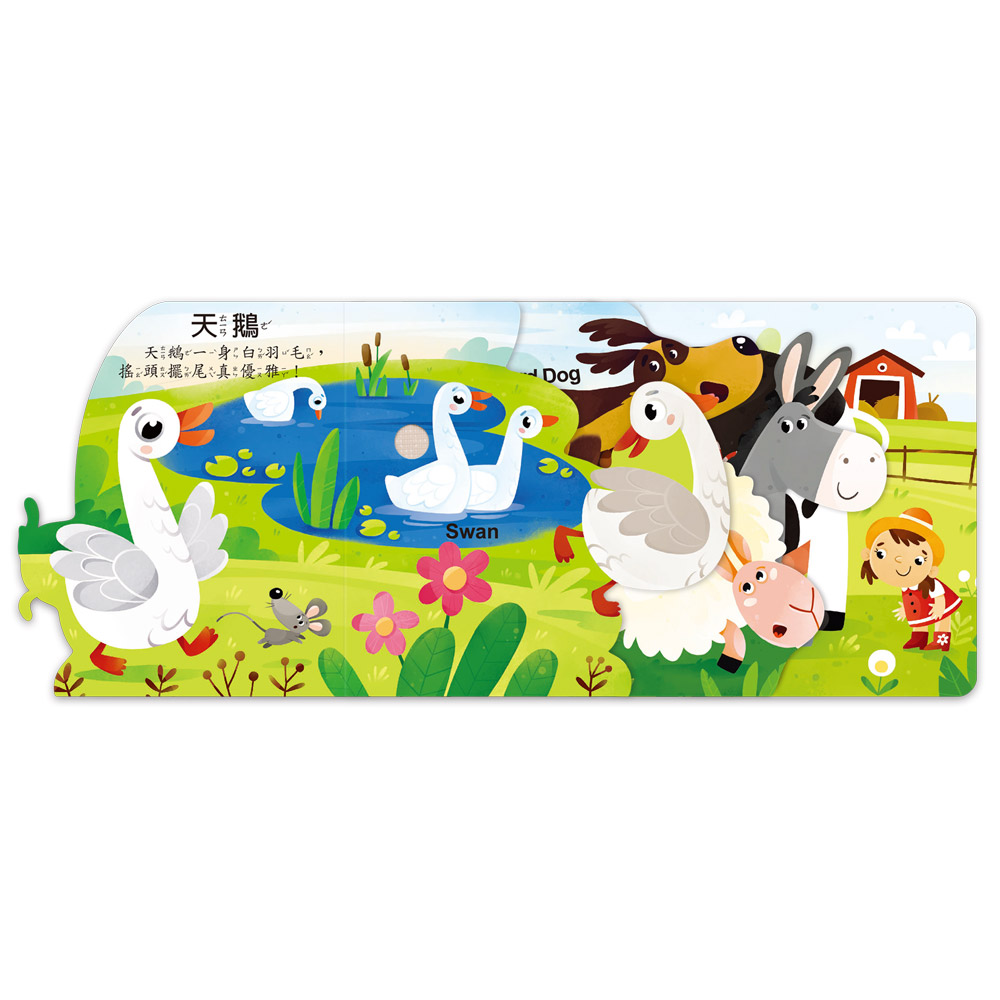 聽,什麼聲音?農場動物園